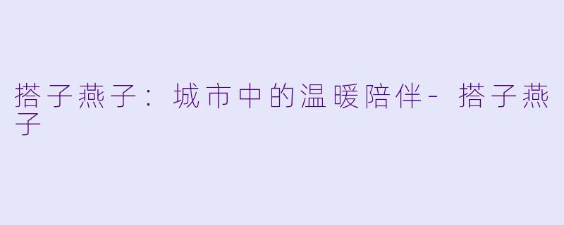 搭子燕子：城市中的温暖陪伴-搭子燕子