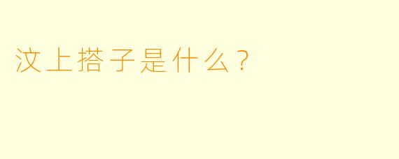 汶上搭子是什么？  
