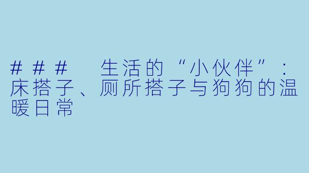 ### 生活的“小伙伴”：床搭子、厕所搭子与狗狗的温暖日常