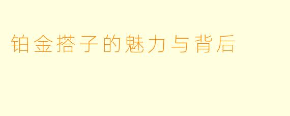 铂金搭子的魅力与背后