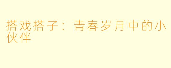 搭戏搭子：青春岁月中的小伙伴