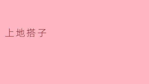上地搭子