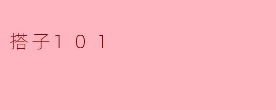 什么是“搭子101”？**
