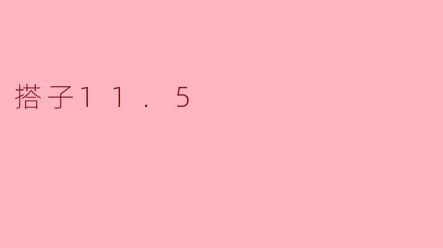 搭子11.5