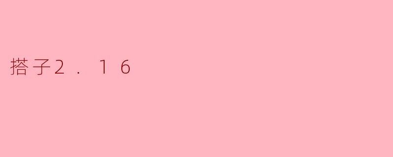 搭子2.16
