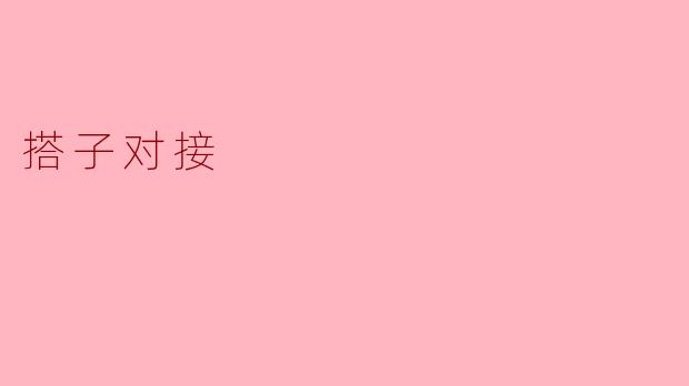 什么是搭子对接,能给我简单介绍一下吗?