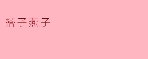 搭子燕子:城市中的温暖陪伴