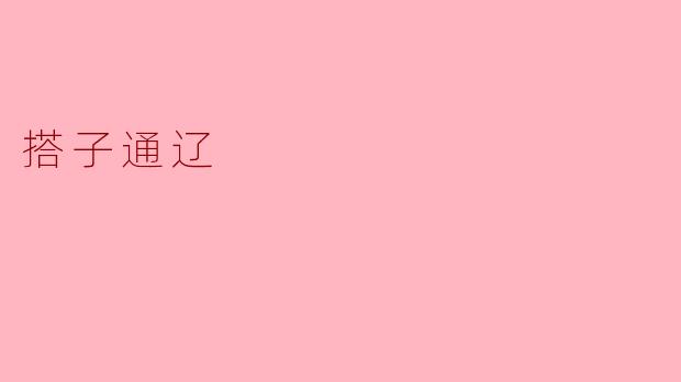 搭子通辽是什么？