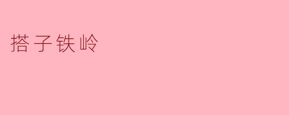 搭子铁岭