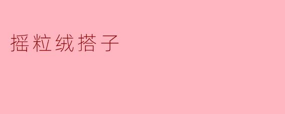 摇粒绒搭子
