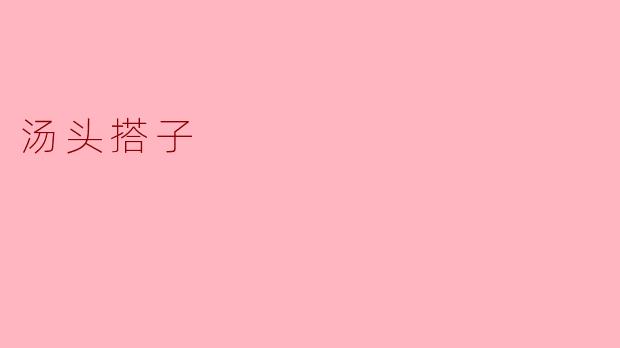 汤头搭子