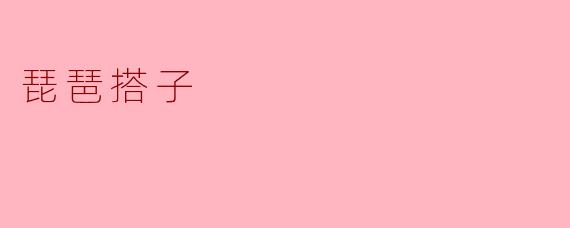 ### 解读“琵琶搭子”的文化内涵与意义