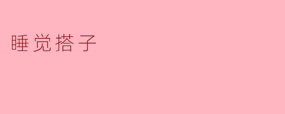 睡觉搭子
