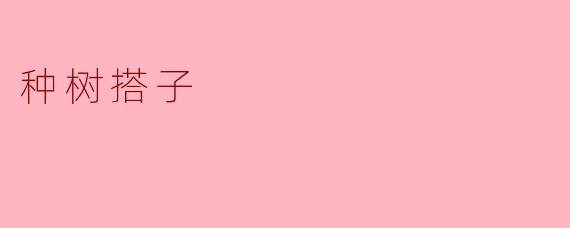 种树搭子——树木成长的守护者