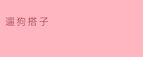 你觉得约个“遛狗搭子”怎么样？  