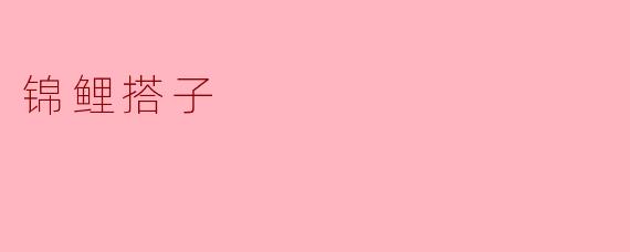 锦鲤搭子