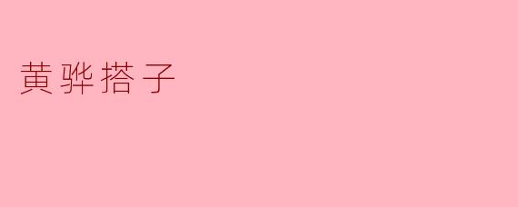 黄骅搭子