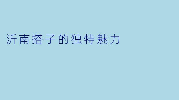 沂南搭子的独特魅力