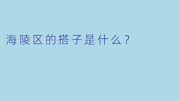 海陵区的搭子是什么？  