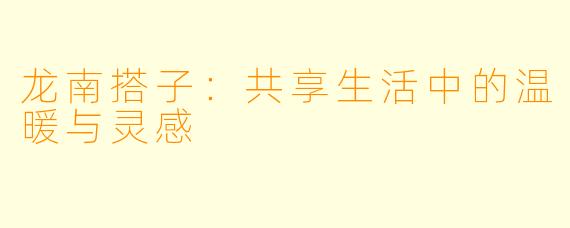 龙南搭子：共享生活中的温暖与灵感