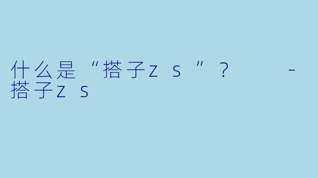 什么是“搭子zs”?