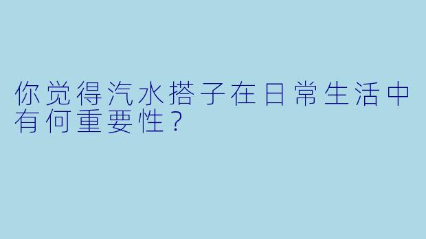 你觉得汽水搭子在日常生活中有何重要性？