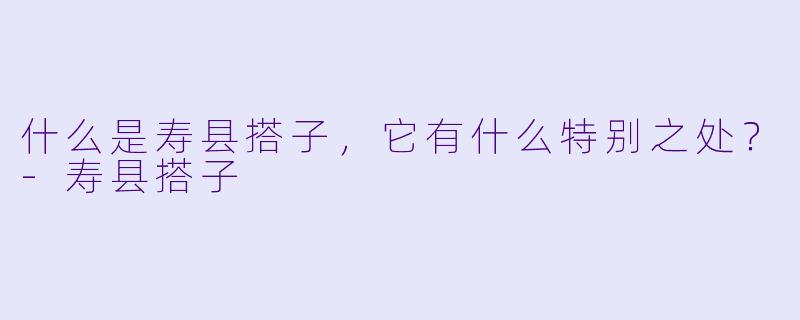 什么是寿县搭子，它有什么特别之处？