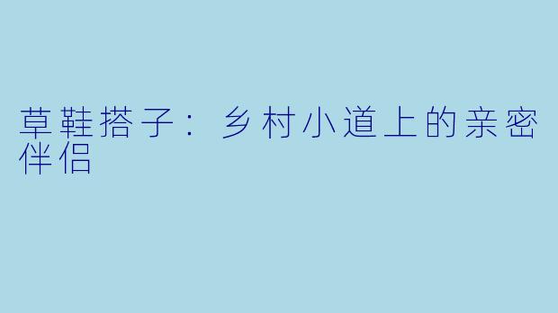 草鞋搭子:乡村小道上的亲密伴侣
