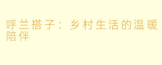 呼兰搭子：乡村生活的温暖陪伴
