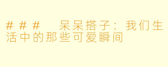 ### 呆呆搭子：我们生活中的那些可爱瞬间