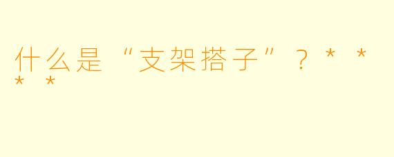 什么是“支架搭子”?****