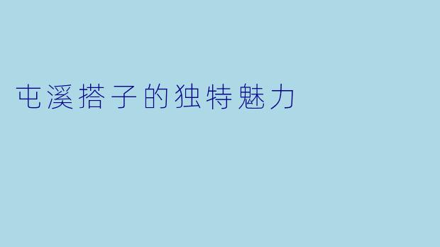 屯溪搭子的独特魅力