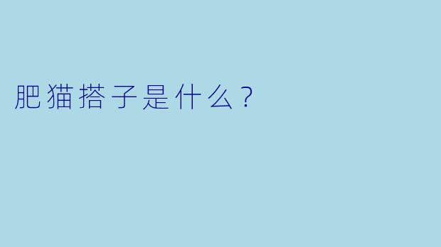 肥猫搭子是什么？  