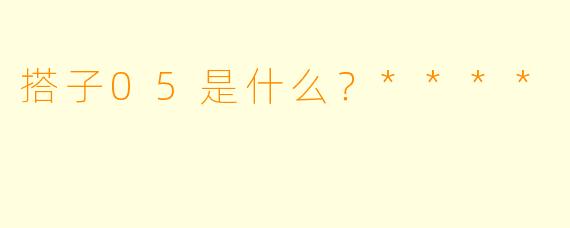 搭子05是什么？****