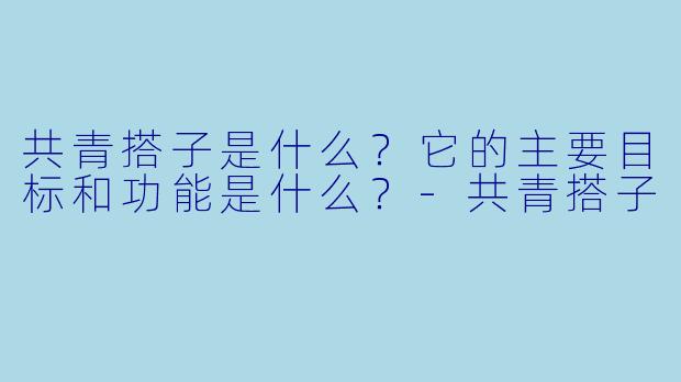 共青搭子是什么?它的主要目标和功能是什么?