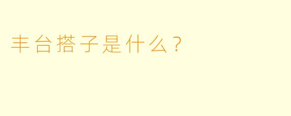 丰台搭子是什么？