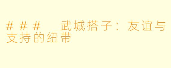 ### 武城搭子:友谊与支持的纽带