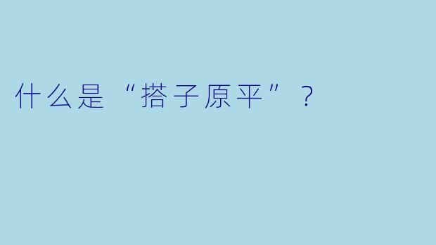 什么是“搭子原平”？  