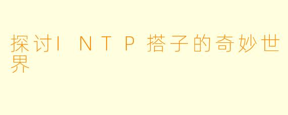 探讨INTP搭子的奇妙世界