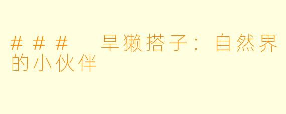 ### 旱獭搭子:自然界的小伙伴