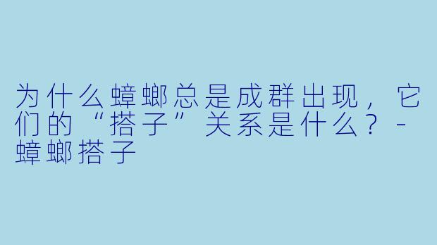 为什么蟑螂总是成群出现,它们的“搭子”关系是什么?