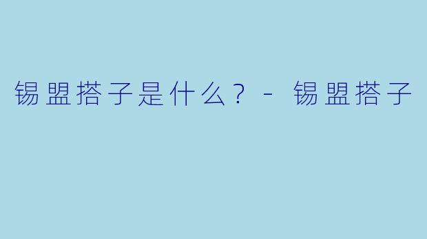 锡盟搭子是什么？