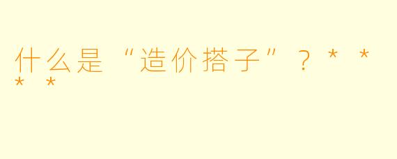 什么是“造价搭子”?****