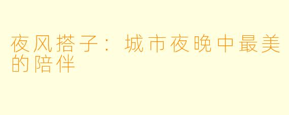夜风搭子:城市夜晚中最美的陪伴