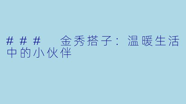 ### 金秀搭子:温暖生活中的小伙伴