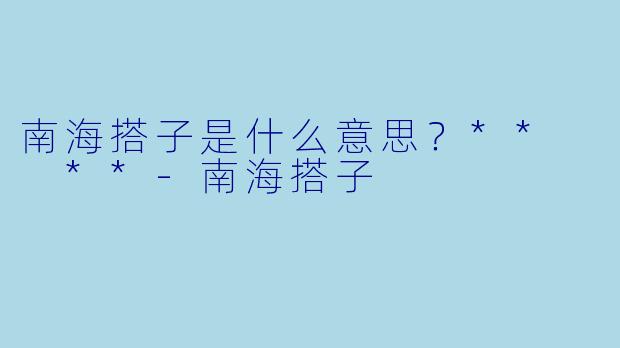 南海搭子是什么意思？**  **