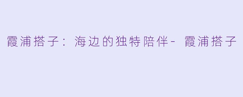 霞浦搭子：海边的独特陪伴-霞浦搭子