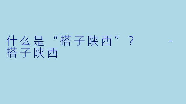 什么是“搭子陕西”？  