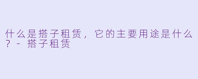 什么是搭子租赁,它的主要用途是什么?
