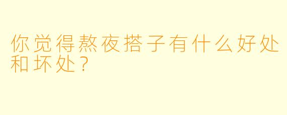 你觉得熬夜搭子有什么好处和坏处？